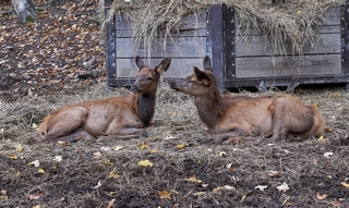 Parc Omega    |   3  /  5    | 